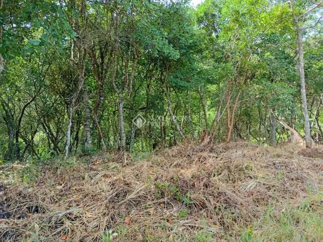 Terreno / Lote para Venda em Florianópolis/SC Sambaqui