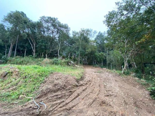 Terreno / Lote para Venda em Florianópolis/SC Santo Antônio de Lisboa