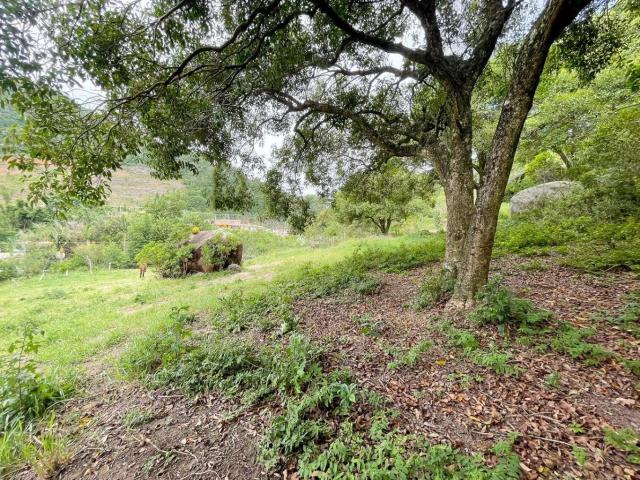 Terreno / Lote para Venda em Florianópolis/SC Santo Antônio de Lisboa