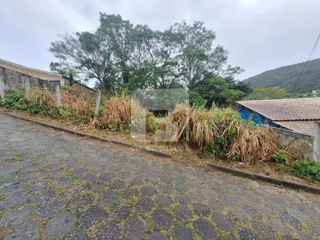 Terreno / Lote para Venda em Florianópolis/SC Santo Antônio de Lisboa
