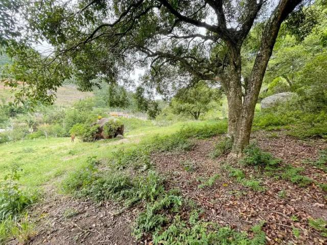 Terreno / Lote para Venda em Florianópolis/SC Santo Antônio de Lisboa