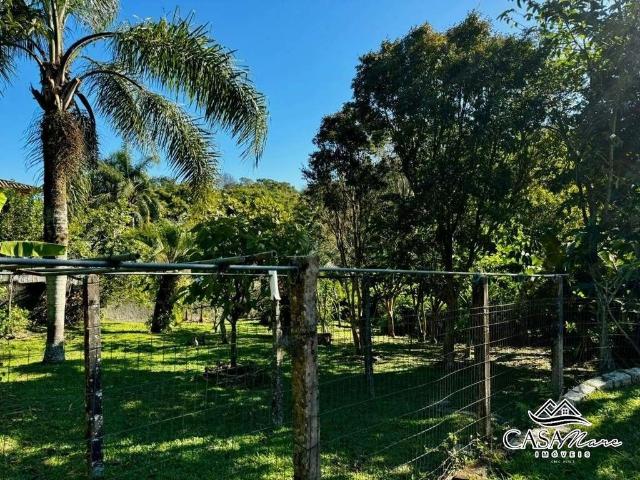 Terreno / Lote para Venda em Florianópolis/SC Santo Antônio de Lisboa