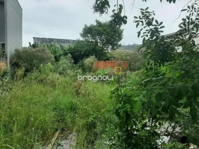 Terreno / Lote para Venda em Florianópolis/SC Santa Mônica