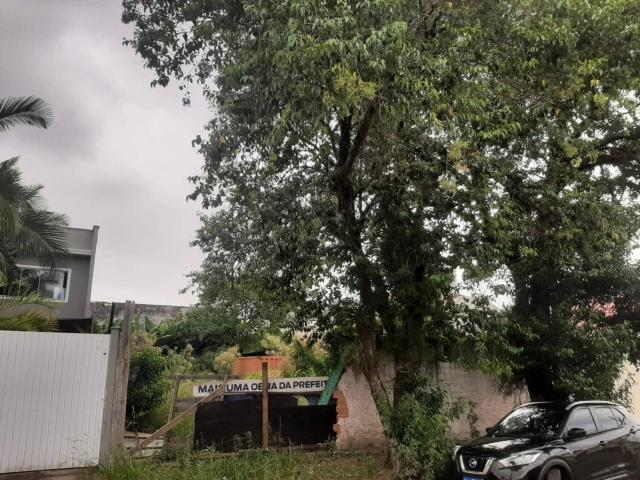 Terreno / Lote para Venda em Florianópolis/SC Santa Mônica