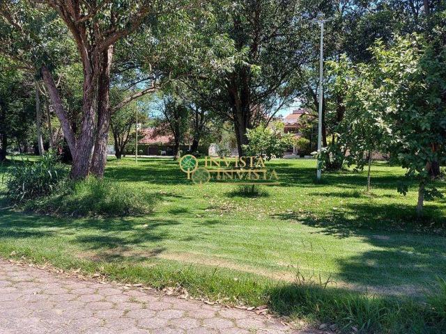 Terreno / Lote para Venda em Florianópolis/SC Santa Mônica