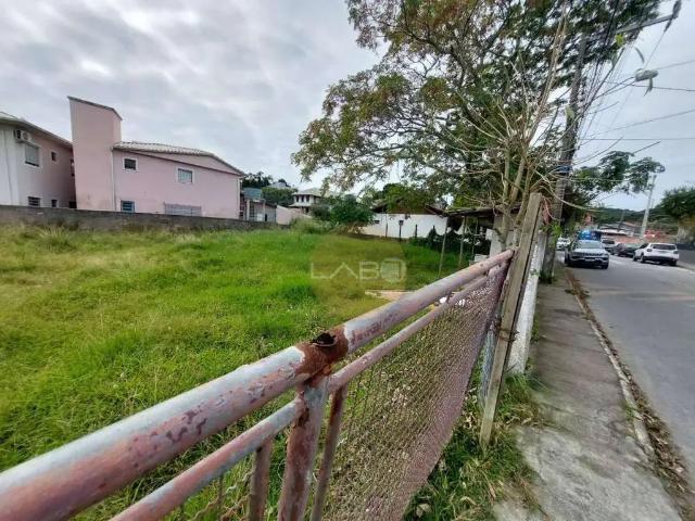 Terreno / Lote para Venda em Florianópolis/SC Ponta das Canas