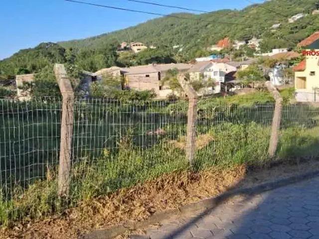 Terreno / Lote para Venda em Florianópolis/SC Ponta das Canas
