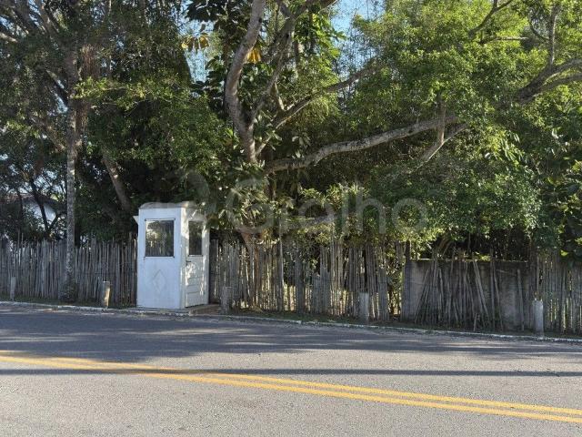 Terreno / Lote para Venda em Florianópolis/SC Ponta das Canas