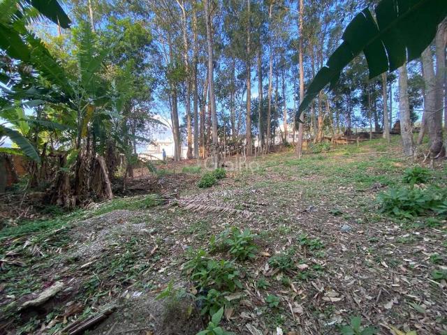 Terreno / Lote para Venda em Florianópolis/SC Pantanal