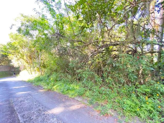 Terreno / Lote para Venda em Florianópolis/SC Pantanal