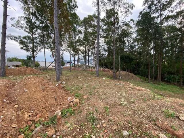 Terreno / Lote para Venda em Florianópolis/SC Pantanal