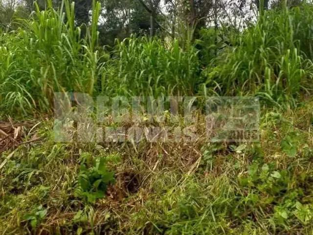 Terreno / Lote para Venda em Florianópolis/SC Pantanal