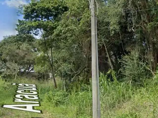 Terreno / Lote para Venda em Florianópolis/SC Pantanal