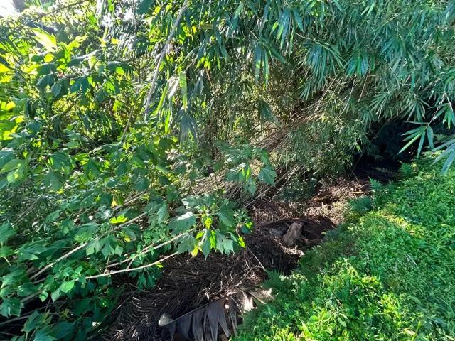 Terreno / Lote para Venda em Florianópolis/SC Pantanal