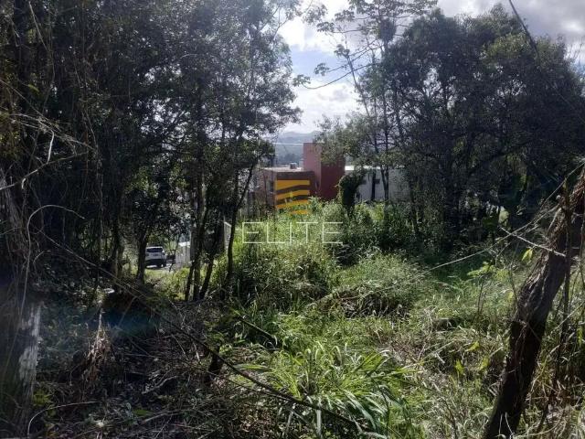 Terreno / Lote para Venda em Florianópolis/SC Pantanal