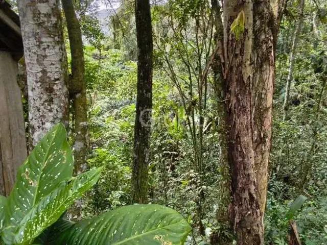 Terreno / Lote para Venda em Florianópolis/SC Pantanal