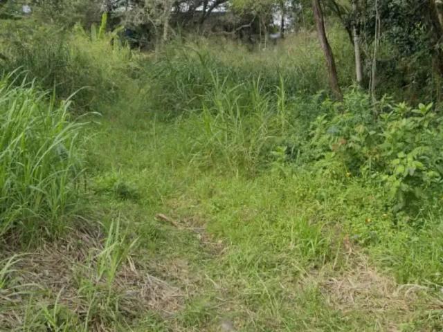 Terreno / Lote para Venda em Florianópolis/SC Pantanal