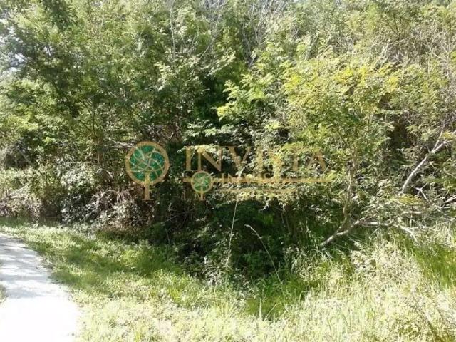 Terreno / Lote para Venda em Florianópolis/SC Pantanal