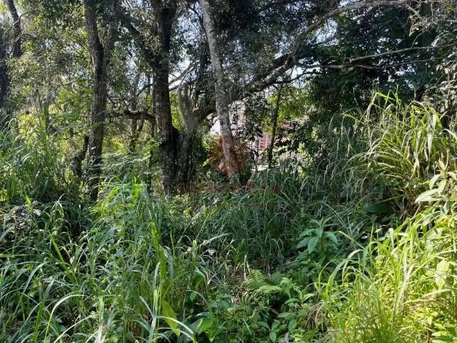 Terreno / Lote para Venda em Florianópolis/SC Pantanal