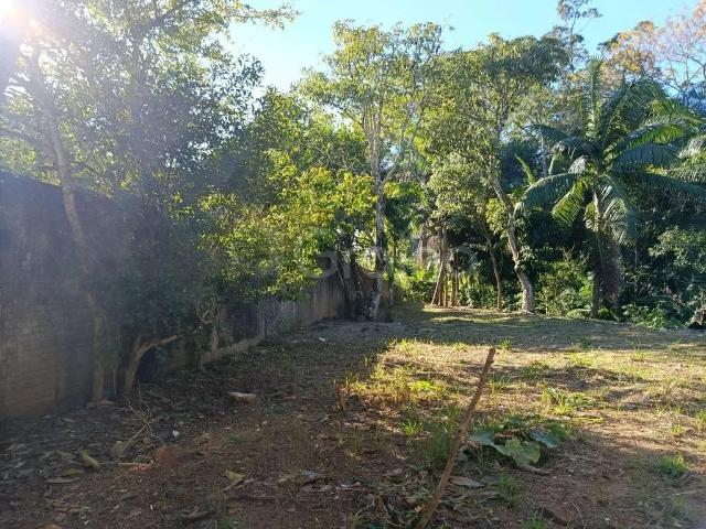 Terreno / Lote para Venda em Florianópolis/SC Pantanal