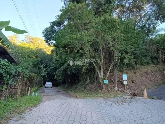 Terreno / Lote para Venda em Florianópolis/SC Pantanal