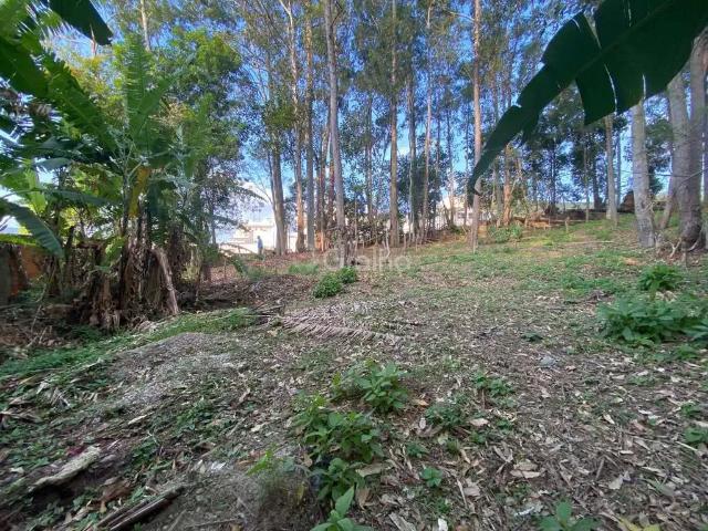 Terreno / Lote para Venda em Florianópolis/SC Pantanal