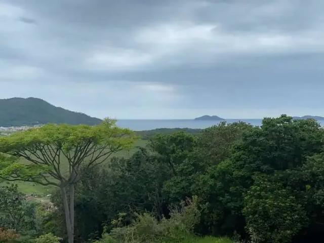 Terreno / Lote para Venda em Florianópolis/SC Pântano do Sul