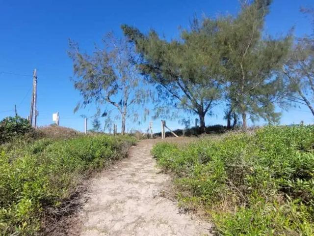 Terreno / Lote para Venda em Florianópolis/SC Pântano do Sul