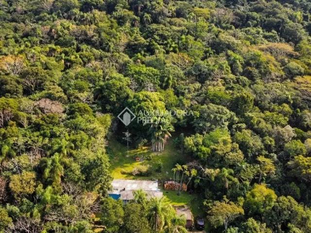 Terreno / Lote para Venda em Florianópolis/SC Pântano do Sul