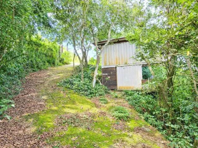 Terreno / Lote para Venda em Florianópolis/SC Pântano do Sul