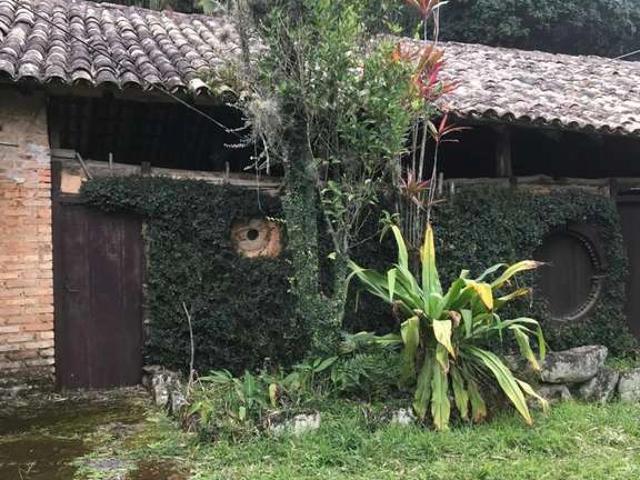 Terreno / Lote para Venda em Florianópolis/SC Pântano do Sul