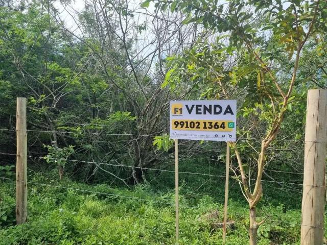Terreno / Lote para Venda em Florianópolis/SC Pântano do Sul