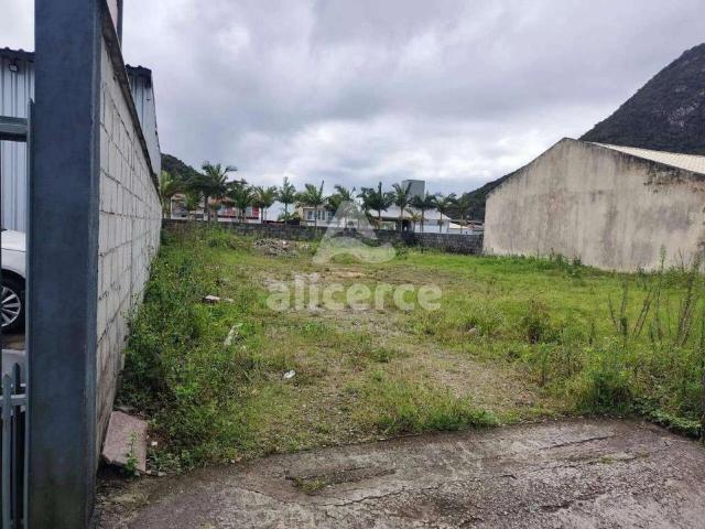 Terreno / Lote para Venda em Florianópolis/SC Pântano do Sul