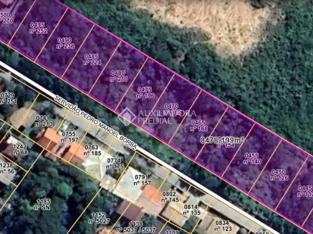 Terreno / Lote para Venda em Florianópolis/SC Pântano do Sul