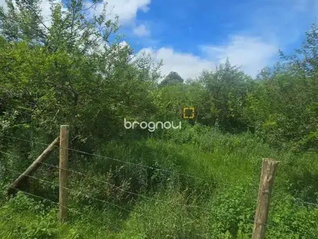 Terreno / Lote para Venda em Florianópolis/SC Pântano do Sul