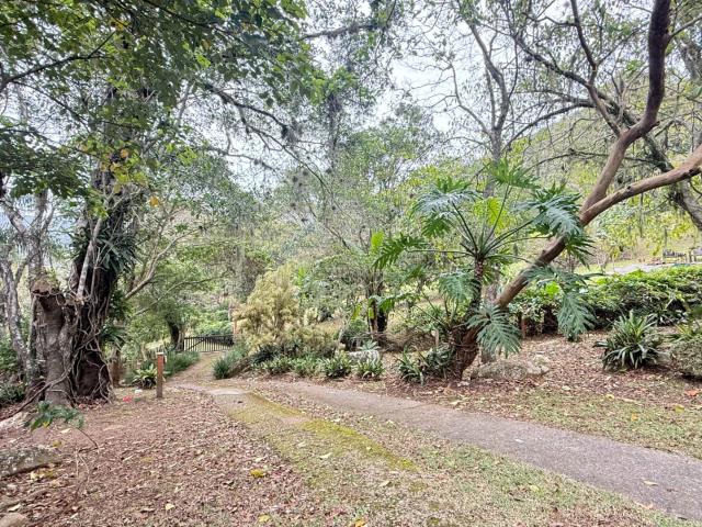 Terreno / Lote para Venda em Florianópolis/SC Pântano do Sul