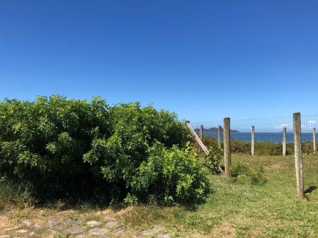 Terreno / Lote para Venda em Florianópolis/SC Pântano do Sul