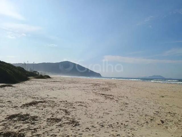 Terreno / Lote para Venda em Florianópolis/SC Praia Brava