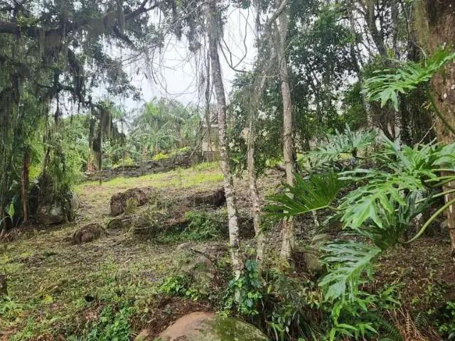 Terreno / Lote para Venda em Florianópolis/SC Ratones