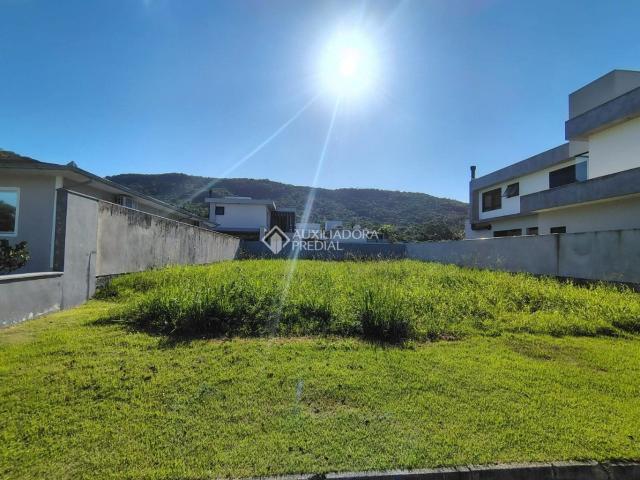 Terreno / Lote para Venda em Florianópolis/SC Ratones