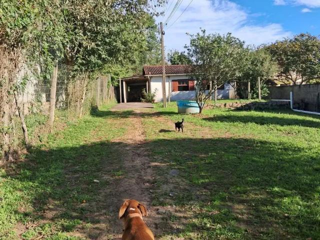Terreno / Lote para Venda em Florianópolis/SC Ratones