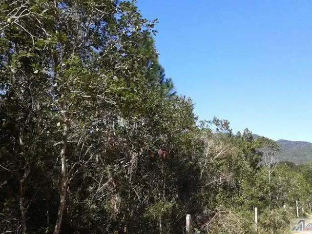 Terreno / Lote para Venda em Florianópolis/SC Ratones