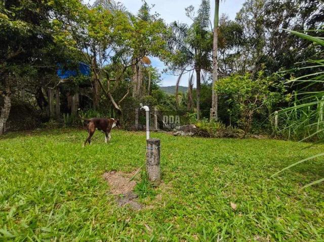 Terreno / Lote para Venda em Florianópolis/SC Ratones