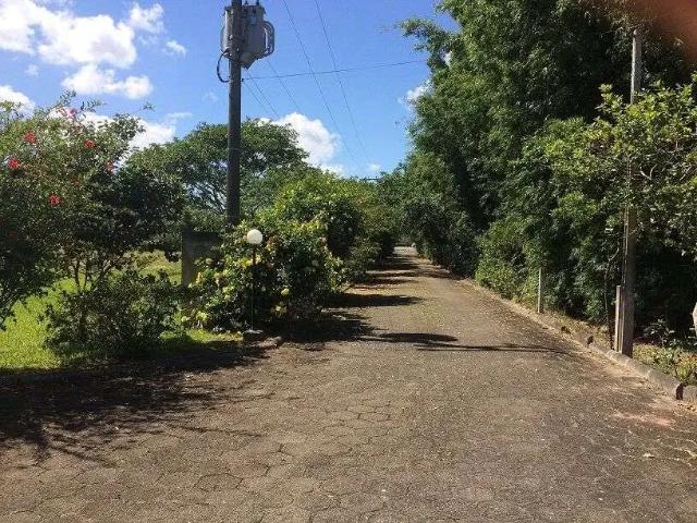 Terreno / Lote para Venda em Florianópolis/SC Ratones