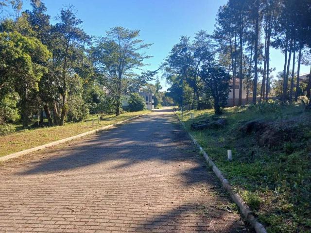Terreno / Lote para Venda em Florianópolis/SC Ratones