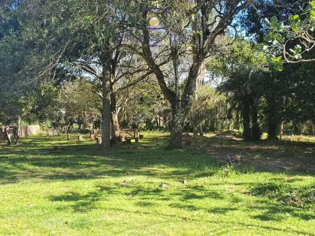 Terreno / Lote para Venda em Florianópolis/SC Ratones