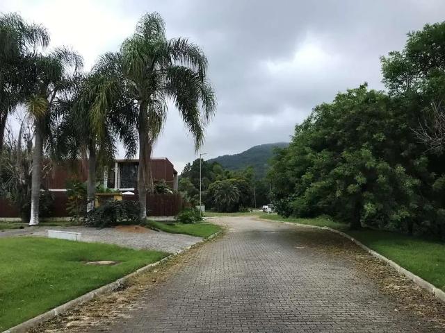 Terreno / Lote para Venda em Florianópolis/SC Ratones