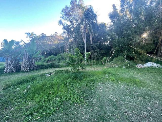Terreno / Lote para Venda em Florianópolis/SC Ratones
