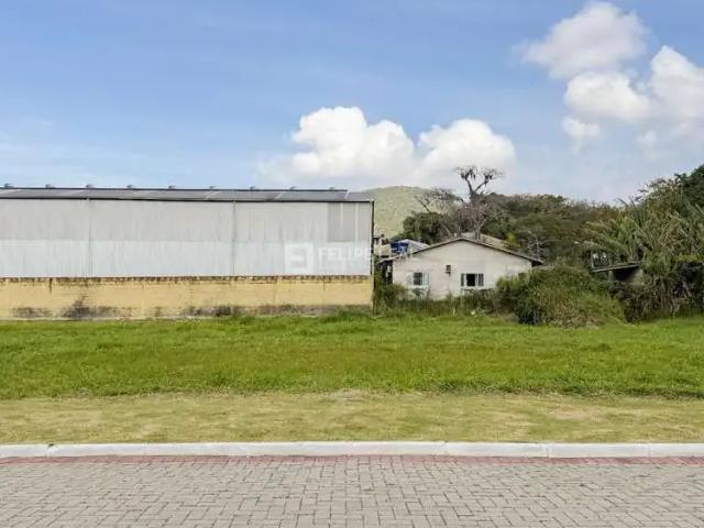 Terreno / Lote para Venda em Florianópolis/SC Ratones