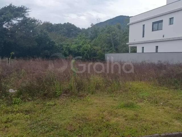 Terreno / Lote para Venda em Florianópolis/SC Ribeirão da Ilha